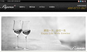 深圳做網站 打造高端網站設計與推廣的全流程指南